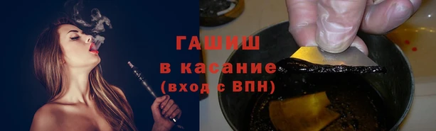 мяу мяу мука Арсеньев