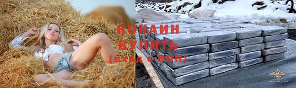 мяу мяу мука Арсеньев